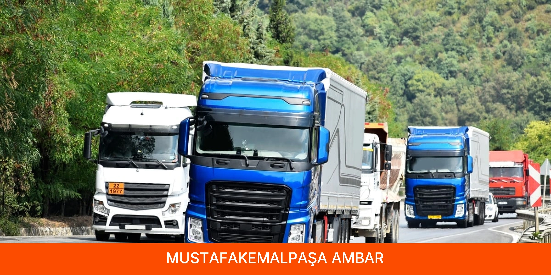 Mustafakemalpaşa Ambar