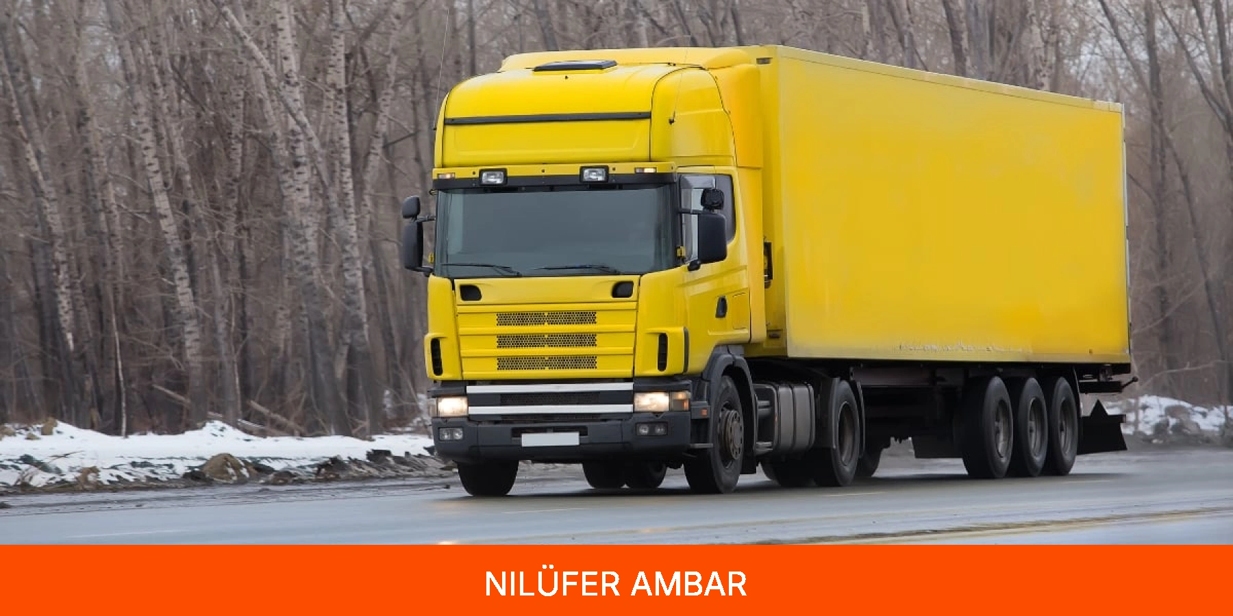 Nilüfer Ambar