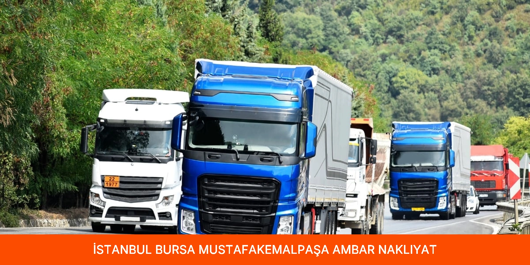Mustafakemalpaşa Ambar