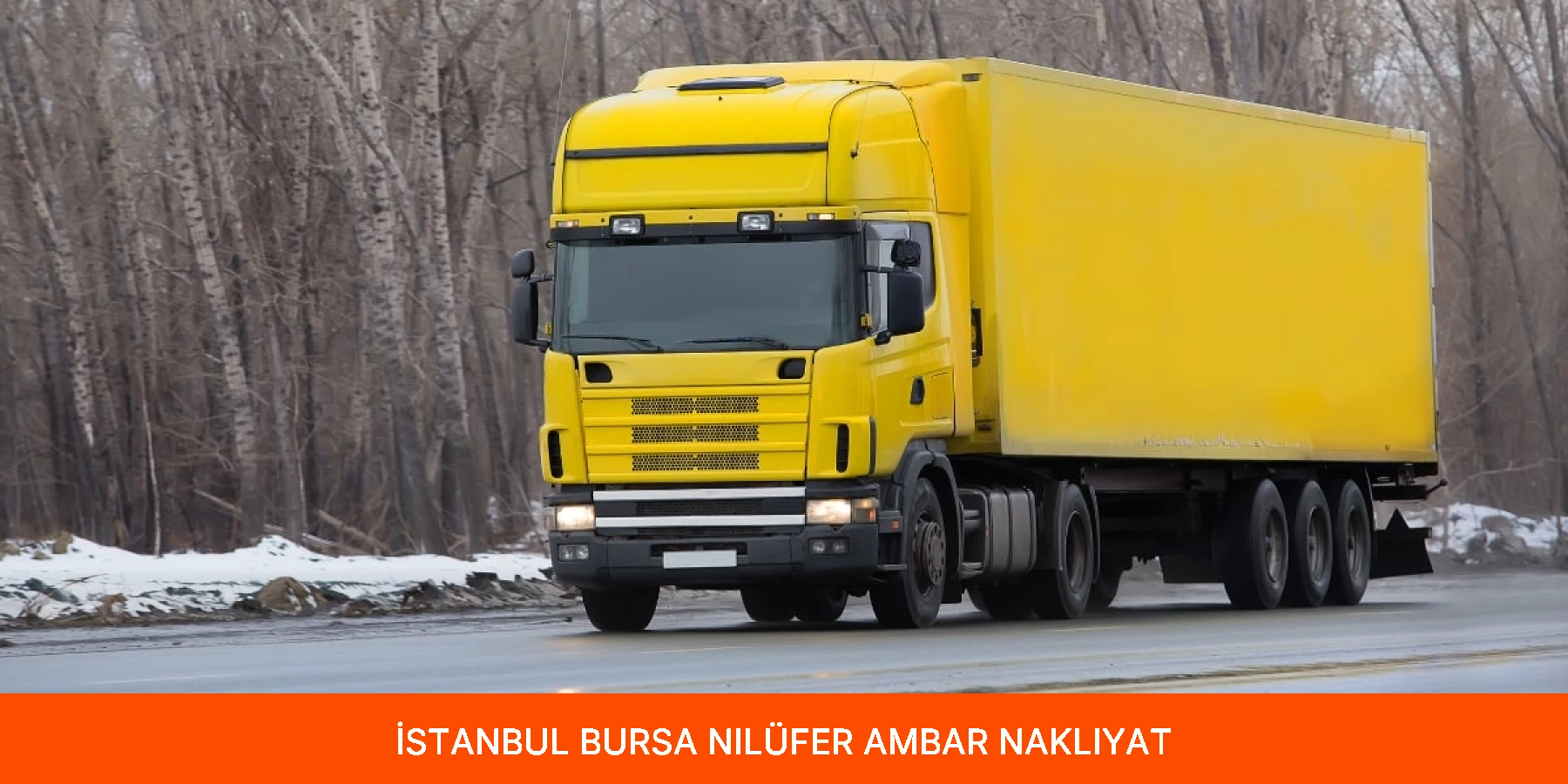 Nilüfer Ambar