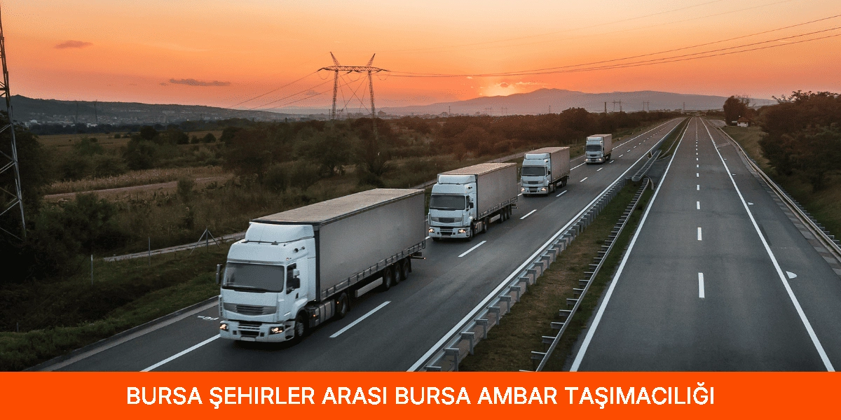 Şehirler Arası Bursa Ambar Taşımacılığı